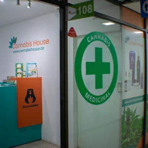 centro-internacional_1.webp