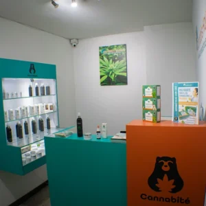 centro-internacional_2.webp