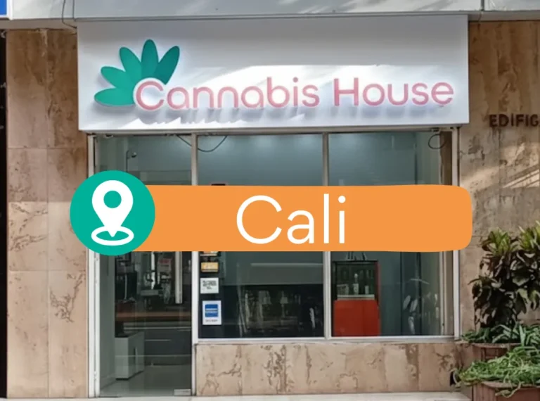 Boton Ubicacion Cali_13_11zon